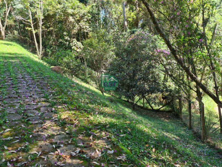 03_202502261312282476