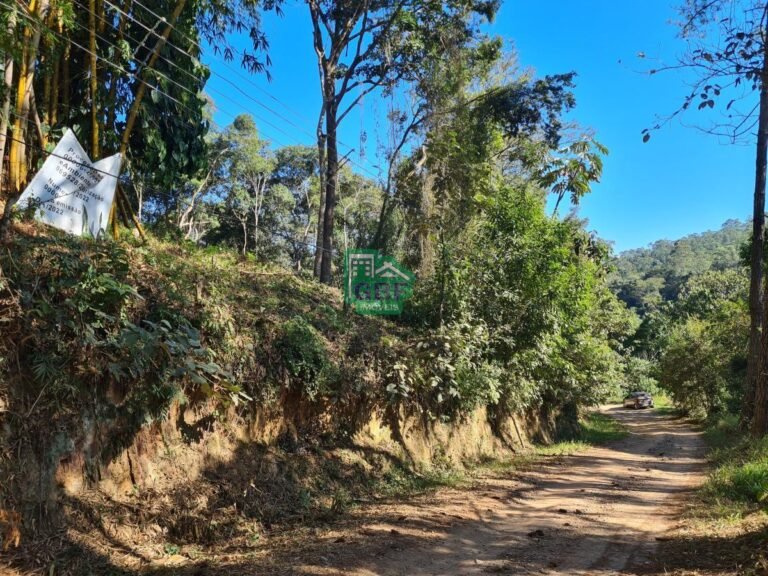 04_2024061421130427389