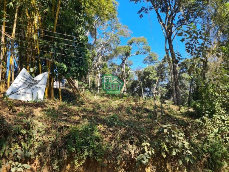 06_20240614211312205654