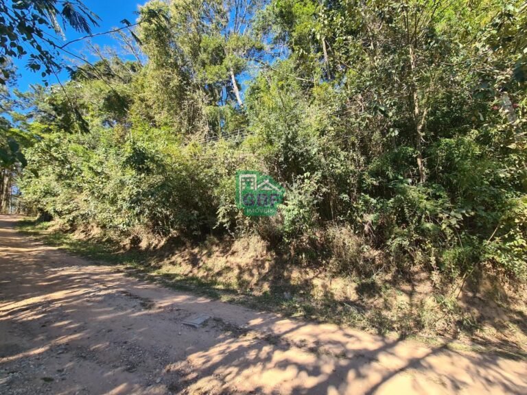 08_2024061421132627935