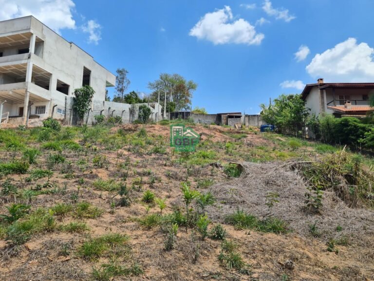 08_202410021300388672