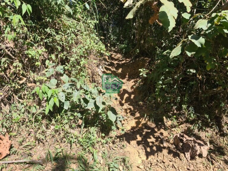 09_20240614211333287585