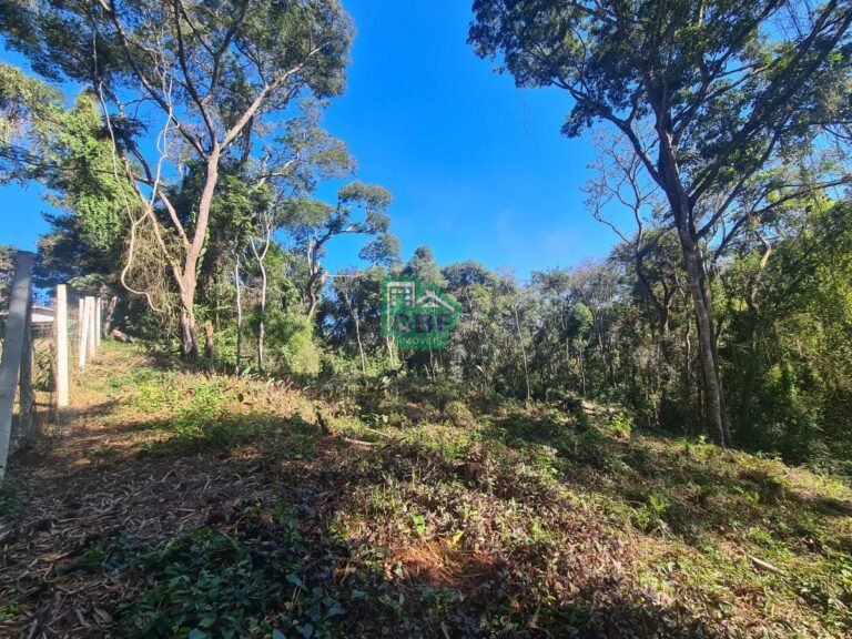 10_2024061421134013801