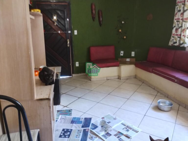 11_202502030826338521