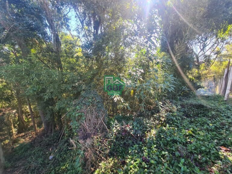 12_20240614211353497778