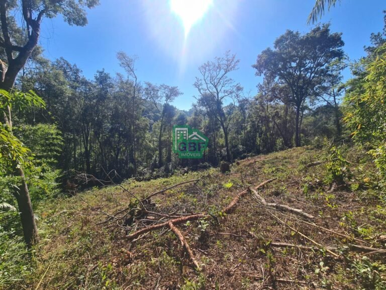 14_20240614211406336197