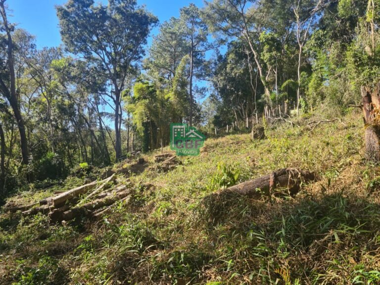 15_20240614211414545524