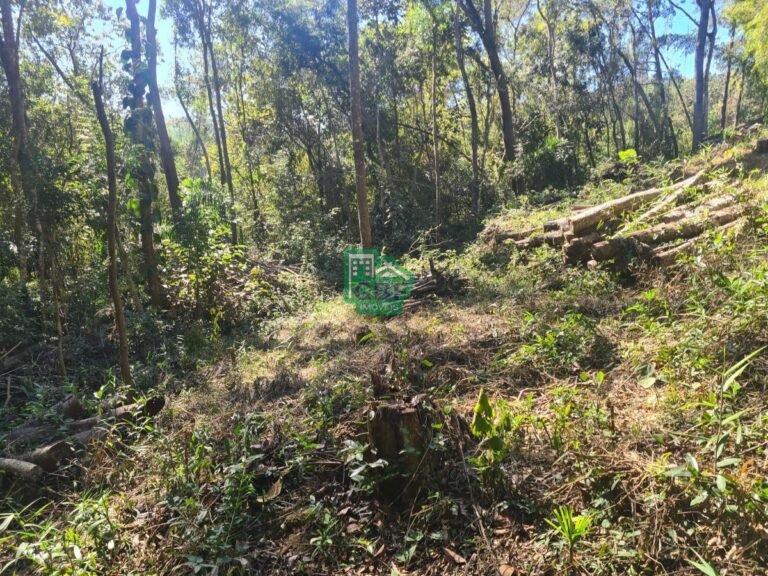 16_2024061421142078882