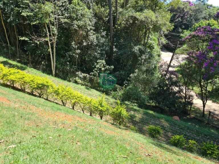 19_202502261313138239