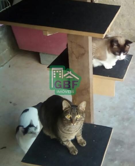 29_20230104101149395572