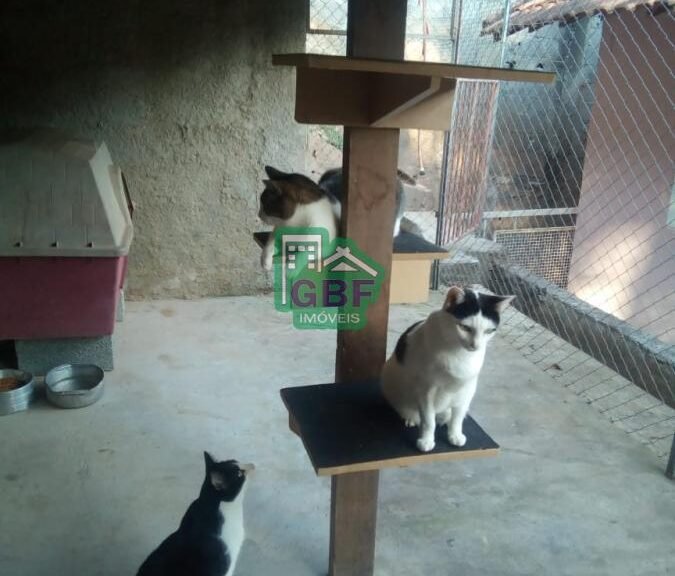 30_20230104101229522799