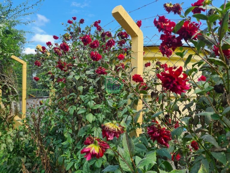 35_20240826143733974