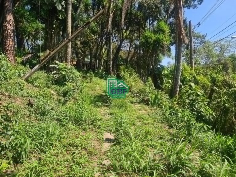 01_20231024085609562739