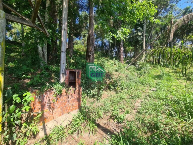 02_20231024085611665382