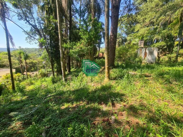 03_2023102408561226623