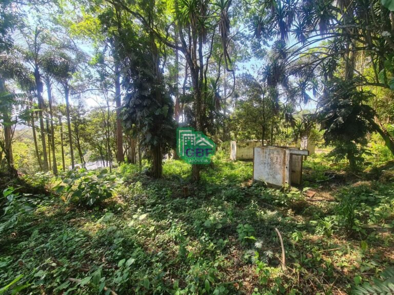 05_20231024085615559607