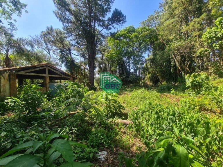 07_20231024085618285406