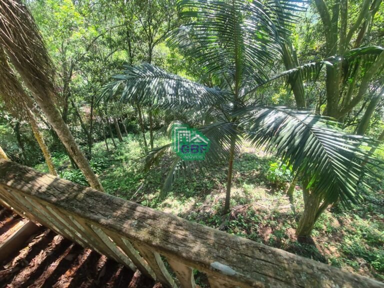 09_20231024085622474784