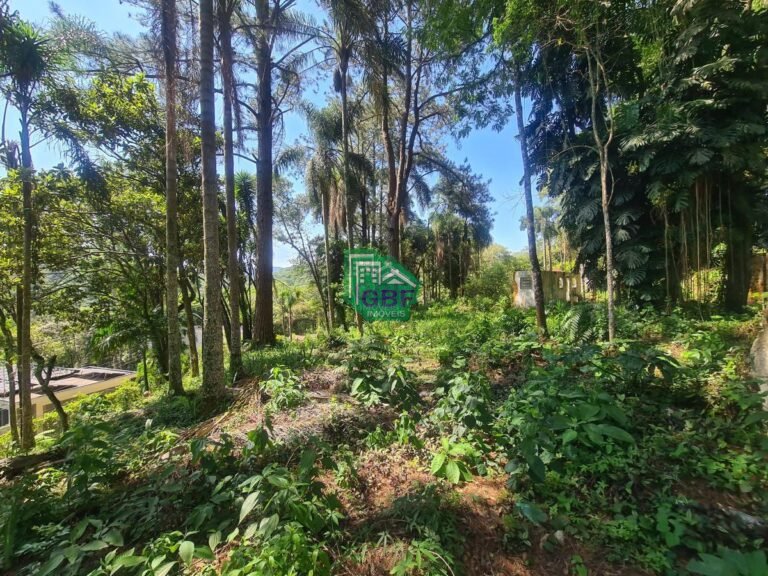 12_20231024085627574907