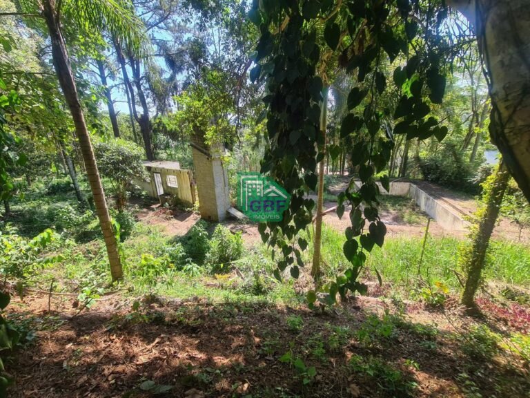 17_2023102408565565764