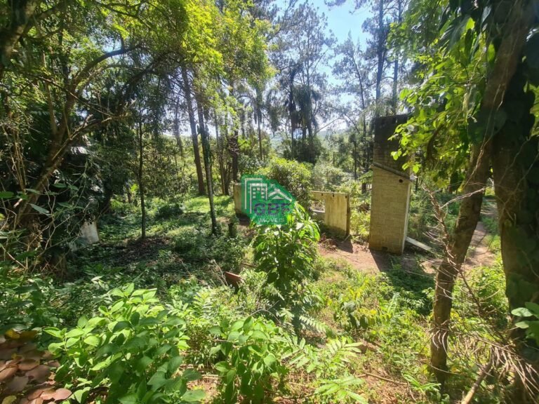 18_20231024085658209926