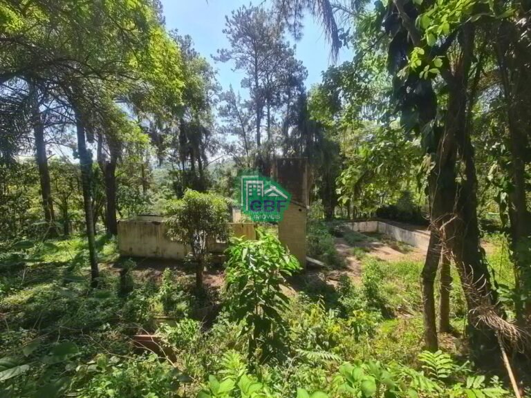 19_20231024085659622574