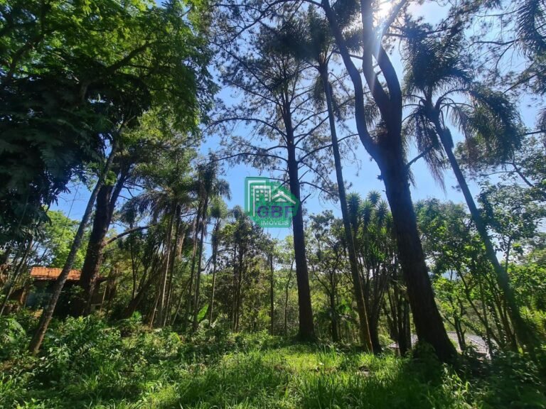 23_20231024085704618168