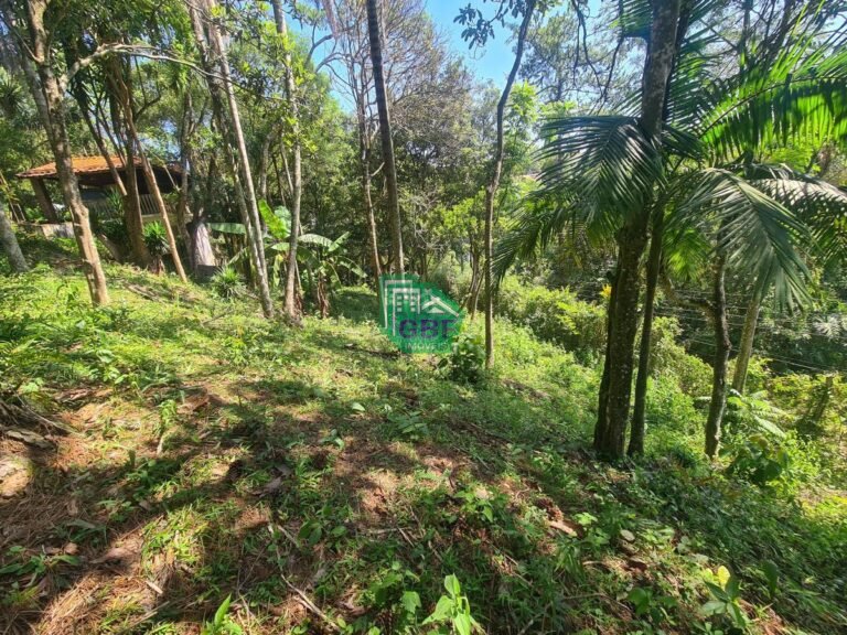 24_20231024085707638759