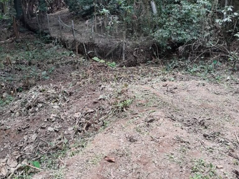 WhatsApp Image 2025-11-15 at 09.22.22