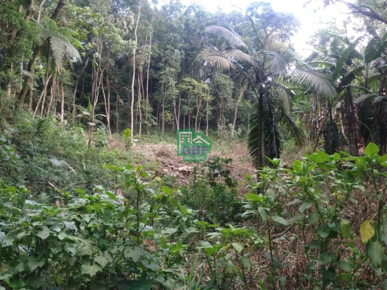 WhatsApp Image 2025-11-15 at 09.22.23