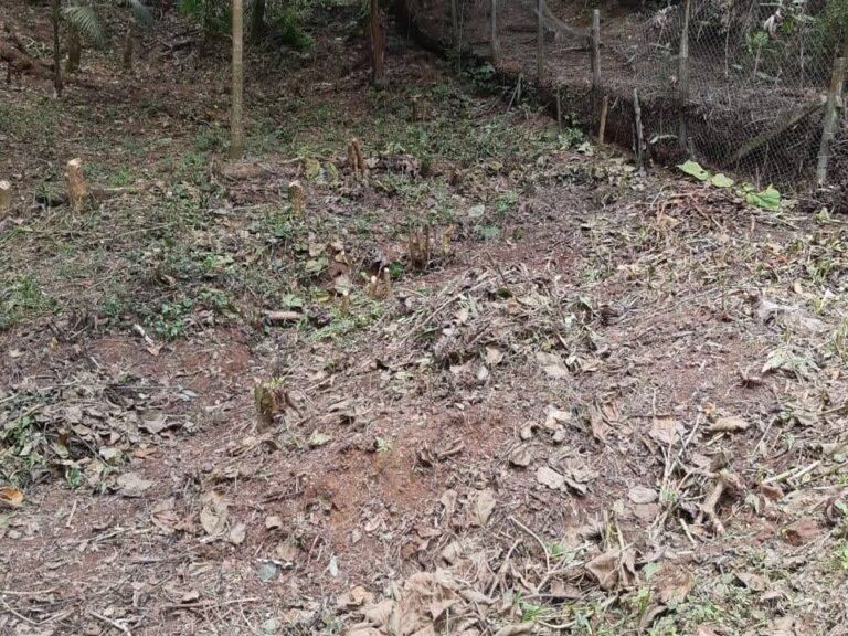 WhatsApp Image 2025-11-15 at 09.22.24