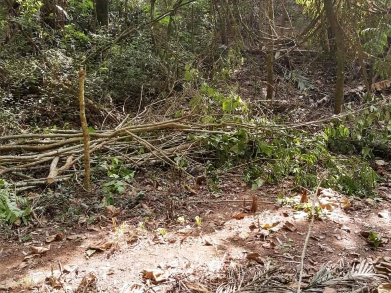 WhatsApp Image 2025-11-15 at 09.22.26