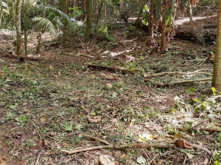 WhatsApp Image 2025-11-15 at 09.22.27