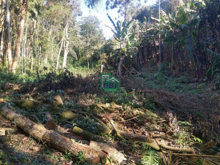 WhatsApp Image 2025-11-15 at 09.22.33