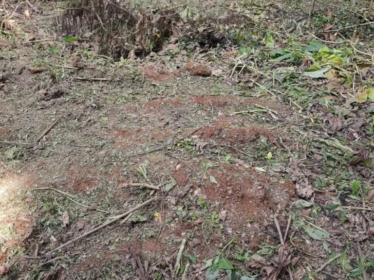 WhatsApp Image 2025-11-15 at 09.22.34 (1)