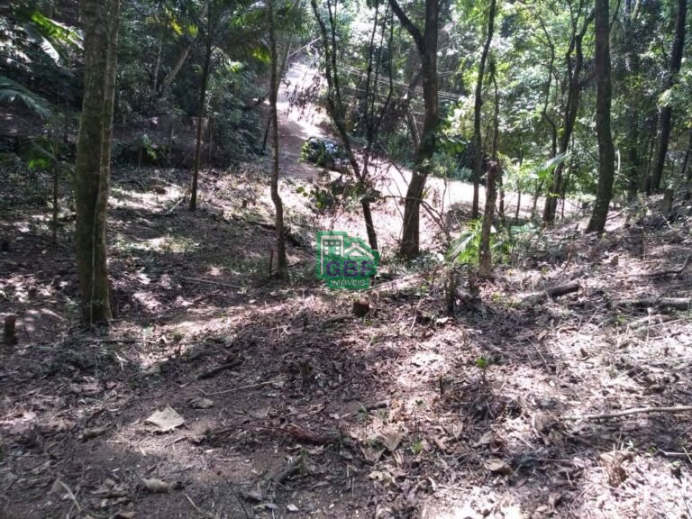 WhatsApp Image 2025-11-15 at 09.22.34 (2)