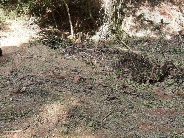 WhatsApp Image 2025-11-15 at 09.22.34