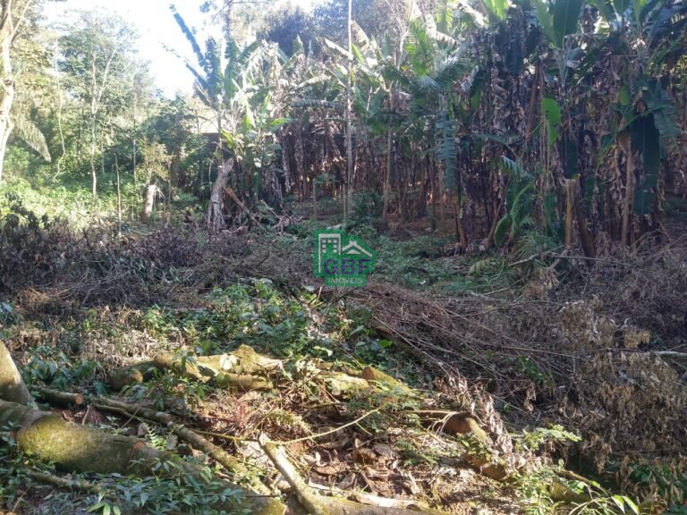 WhatsApp Image 2025-11-15 at 09.22.35