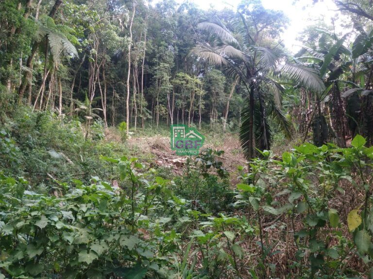 WhatsApp Image 2025-11-15 at 09.22.36 (1)