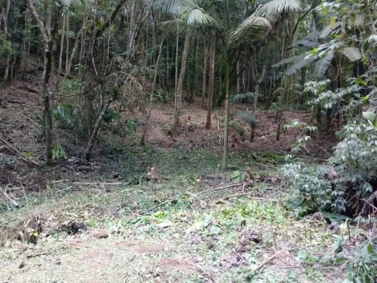 WhatsApp Image 2025-11-15 at 09.22.36