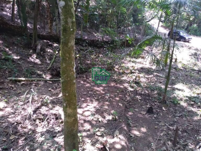 WhatsApp Image 2025-11-15 at 09.22.37 (1)