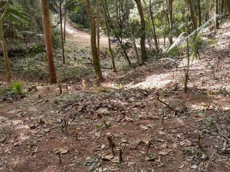 WhatsApp Image 2025-11-15 at 09.22.37