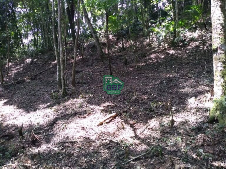 WhatsApp Image 2025-11-15 at 09.22.38