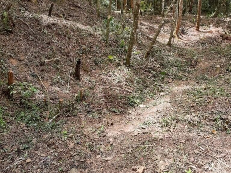 WhatsApp Image 2025-11-15 at 09.22.39