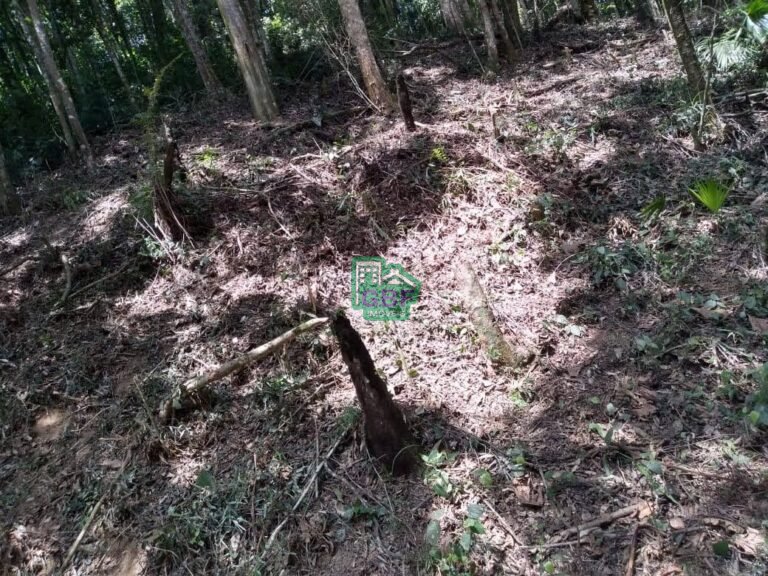 WhatsApp Image 2025-11-15 at 09.22.40 (1)