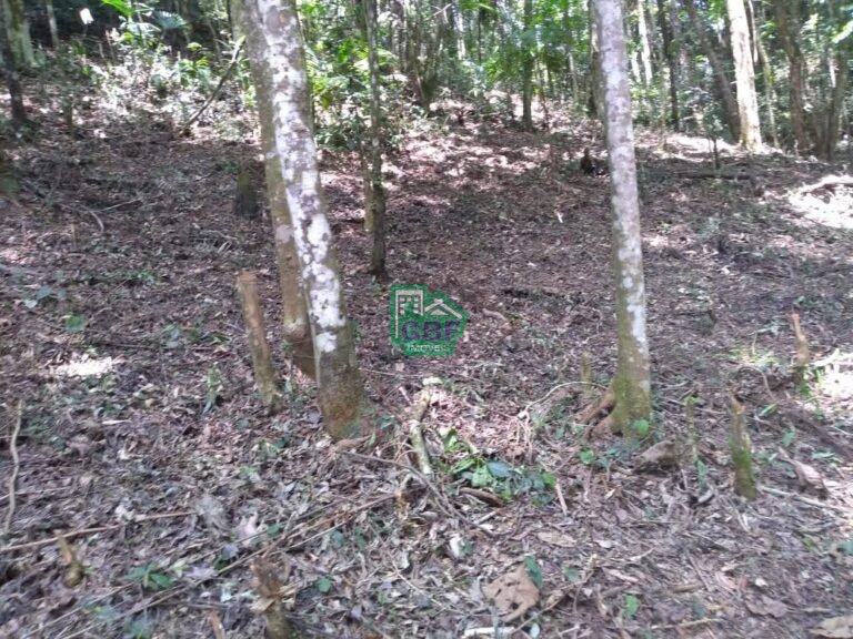 WhatsApp Image 2025-11-15 at 09.22.40