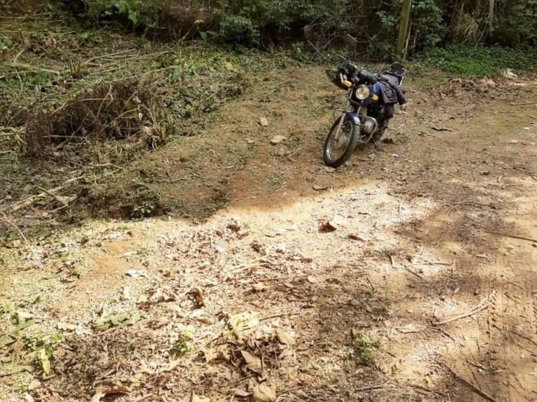 WhatsApp Image 2025-11-15 at 09.22.41