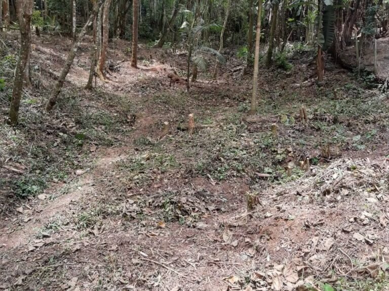 WhatsApp Image 2025-11-15 at 09.22.42