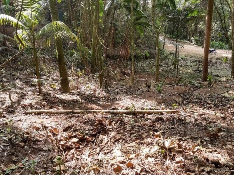 WhatsApp Image 2025-11-15 at 09.22.45