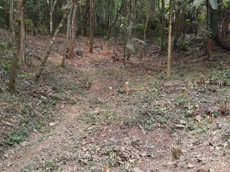 WhatsApp Image 2025-11-15 at 09.22.46 (1)